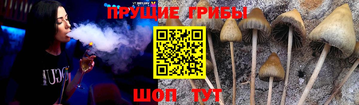 Галлюциногенные грибы MAGIC MUSHROOMS  Вход с VPN  Назарово 
